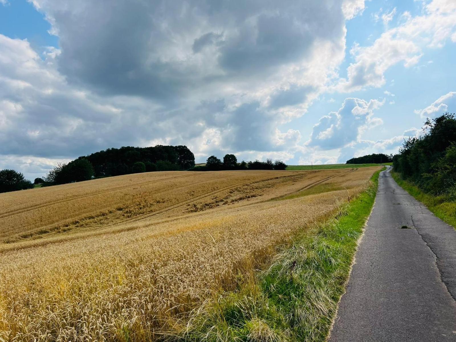 Ferienwohnung In Der Schoenen Eifel! Mechernich Dış mekan fotoğraf