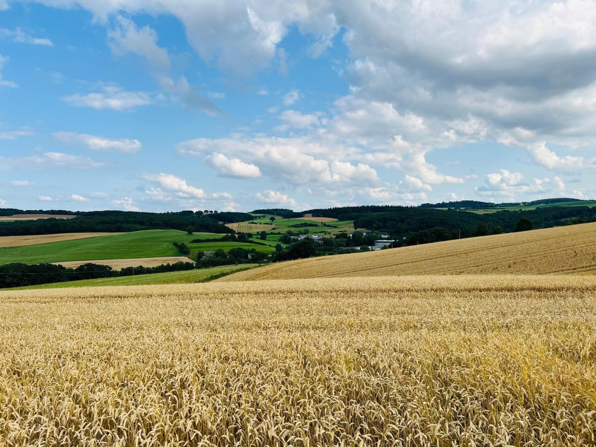 Ferienwohnung In Der Schoenen Eifel! Mechernich Dış mekan fotoğraf